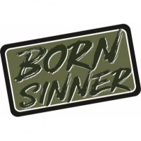 Патч Federkamm «Born sinner» купить в Череповце